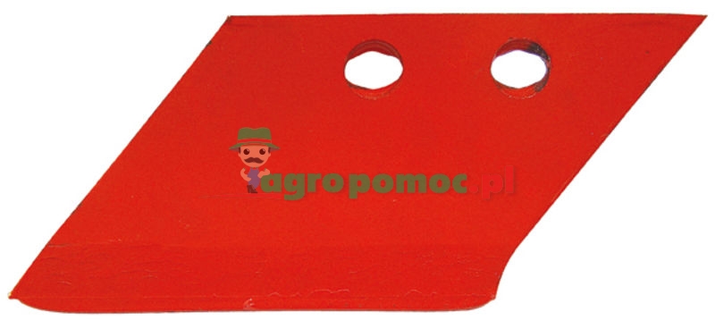 Skimmer share | zdjęcie nr 1